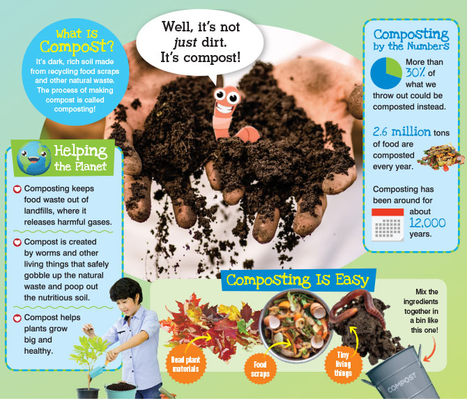 Enlargeable infographic about composting