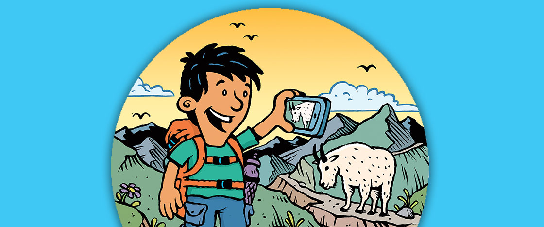 Illustration of a hiker taking a picture on phone of a mountain goat