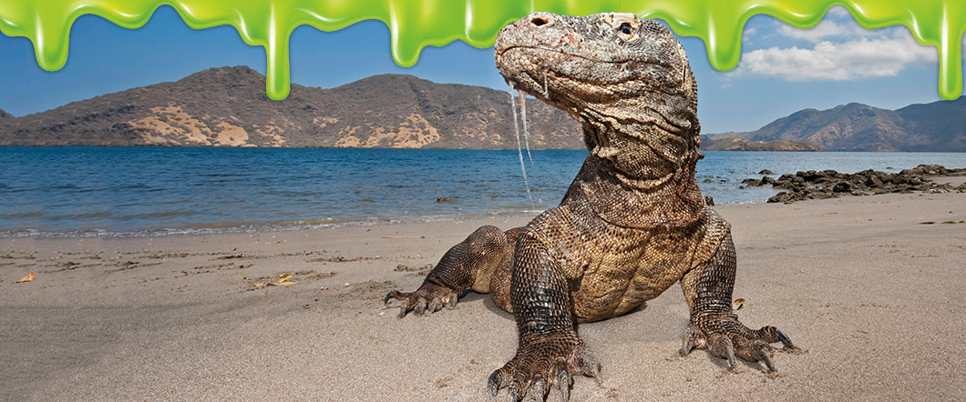 Image of a lizard with slime oozing from the top border