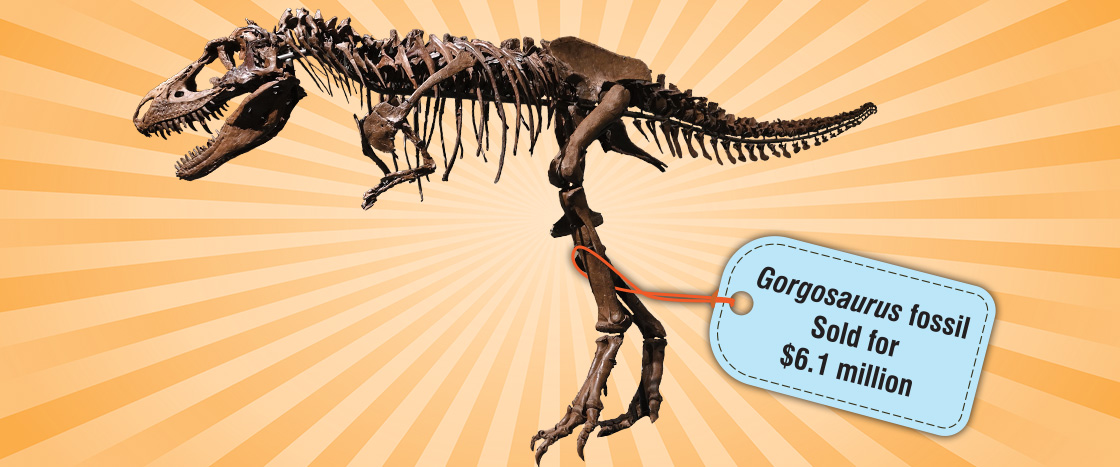 Image of a Gorgosaurus fossil sold for $6.1 million